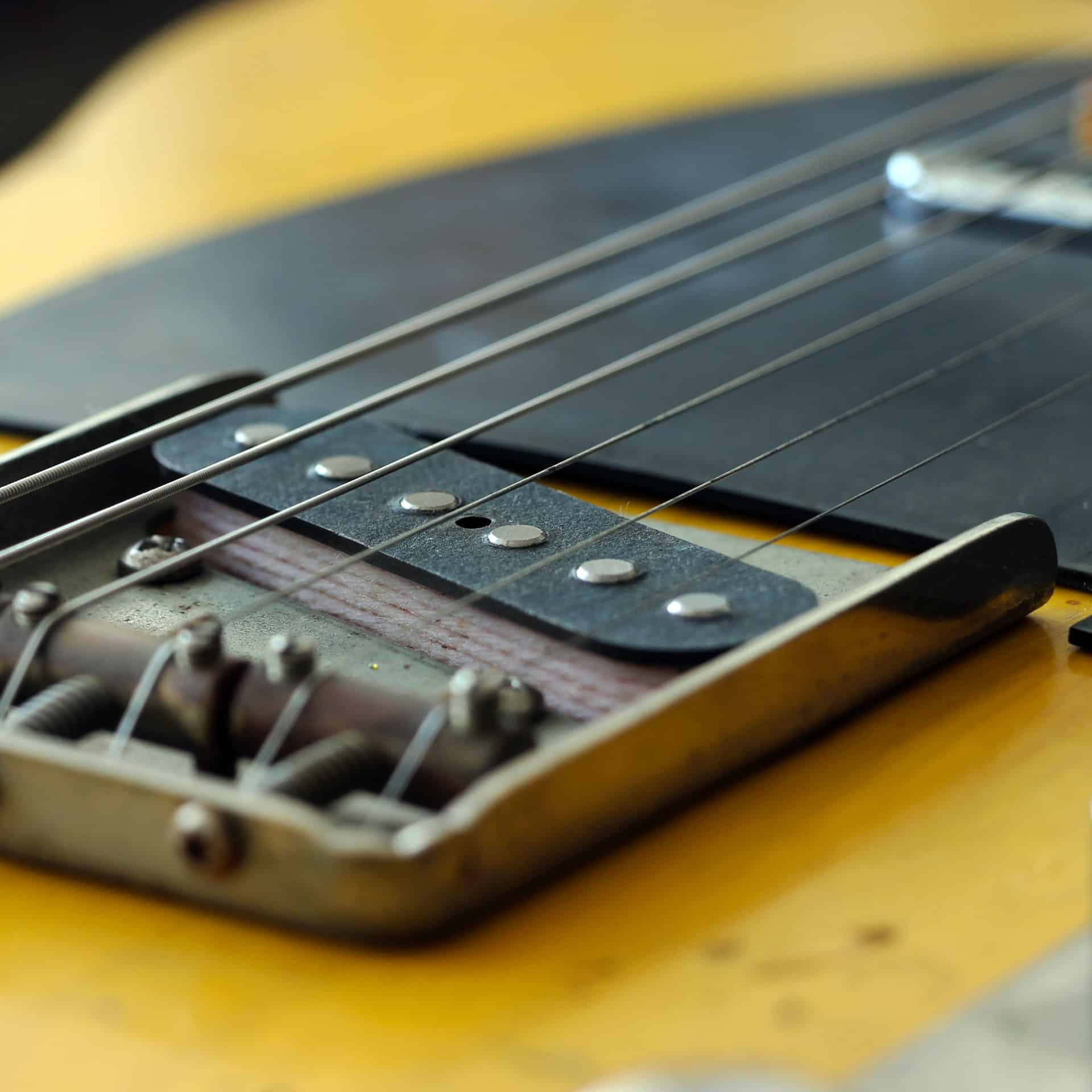 electric bass guitar pickups